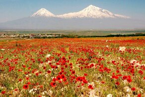 Авторский тур по Армении. Легкие пешие прогулки и экскурсии по всей стране