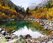 загруженное (18)