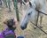 5442962177221845290