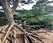 IMG-20230826-WA0049