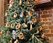 IMG_20251224_120154_644