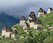 a3179d38-b545-4ba7-971f-397ba69c854a